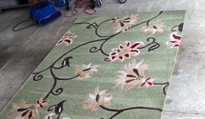 Professional area rug cleaning