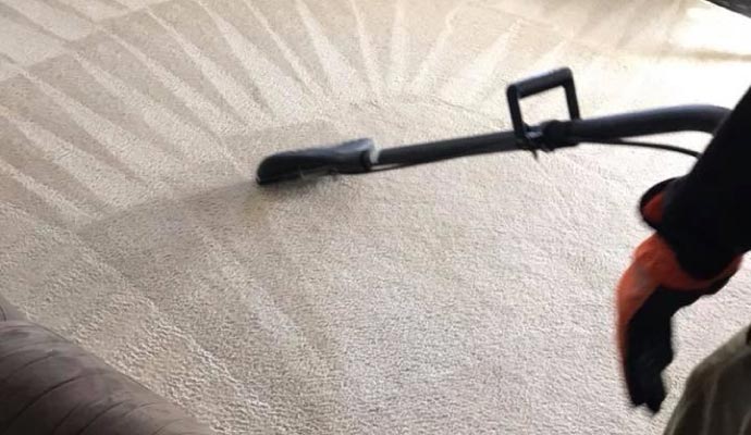 Professional worker cleaning carpet