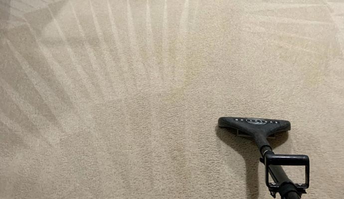 Professional Carpet Cleaning Methods in Charlotte