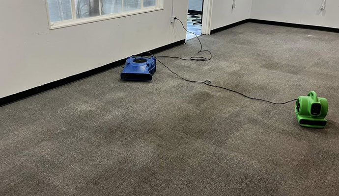 Carpet water extraction with equipment