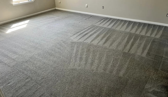 Clean carpet placed on the floor