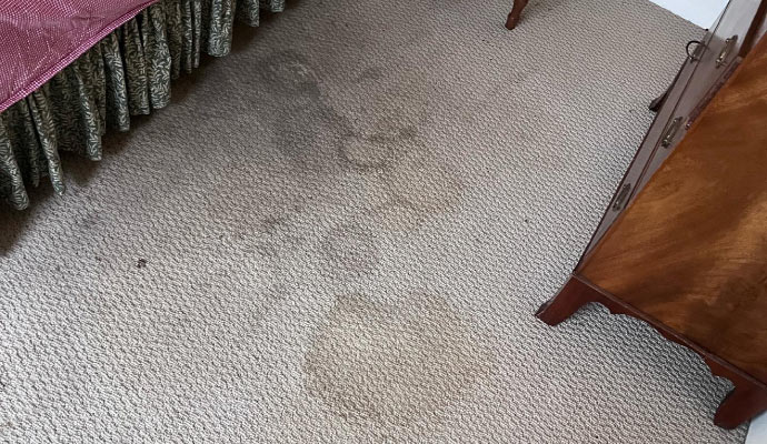 Visible stain on the carpet