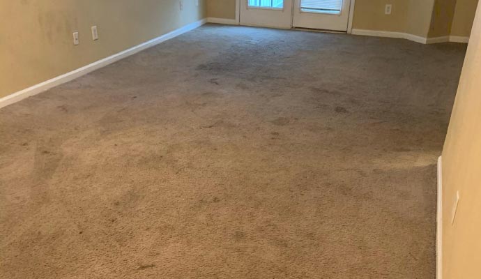 Faded carpet color