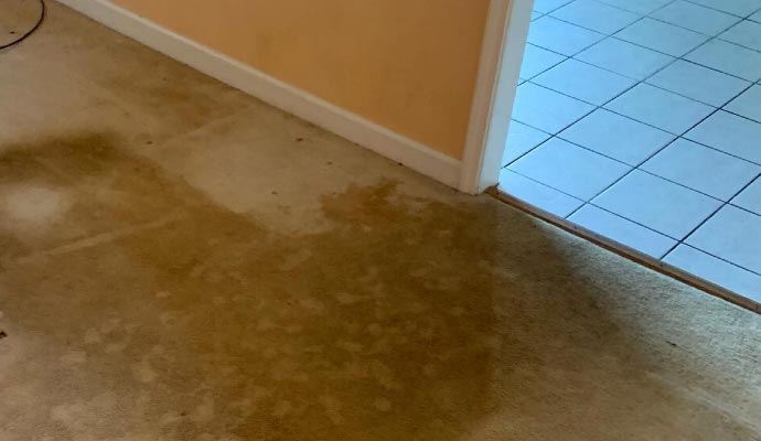 Carpet damage due to heavy use