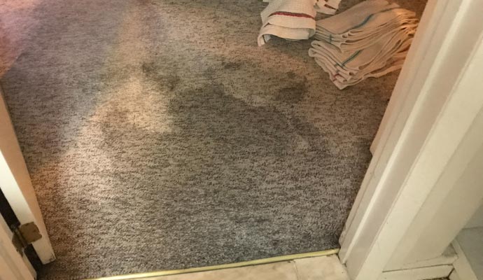 Carpet damaged in water