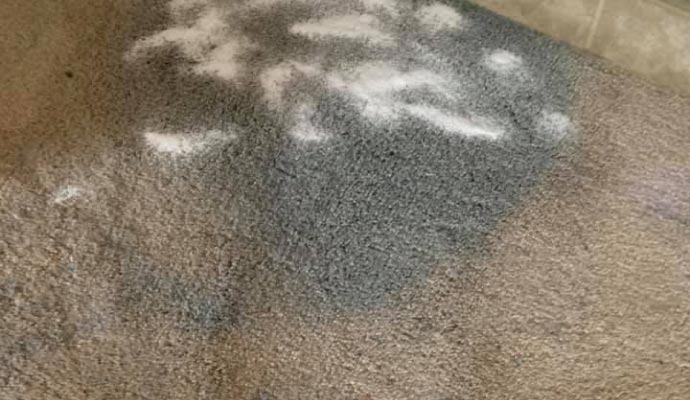 Discolored carpet