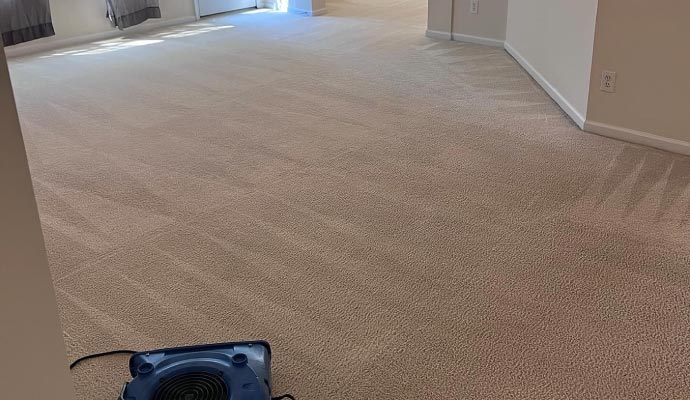 Improper carpet cleaning