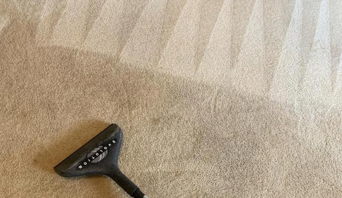Regular carpet cleaning