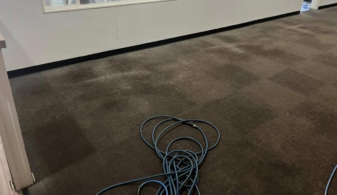 Water damaged carpet