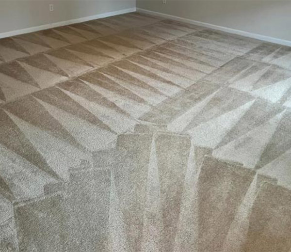 Clean carpet on the floor