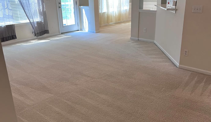 Clean carpet on the floor