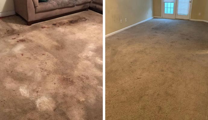 Collage of discolored and water-damaged carpet