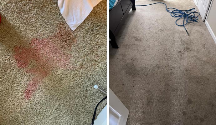 Collage of stain and mold on carpet
