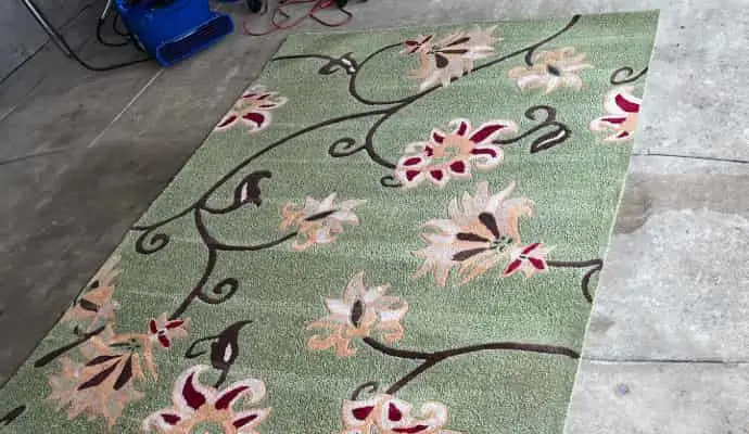 area rug is being cleaned