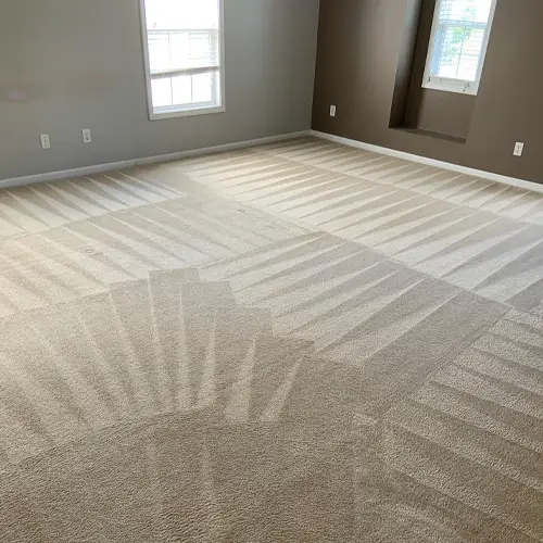 A clean carpet on the floor