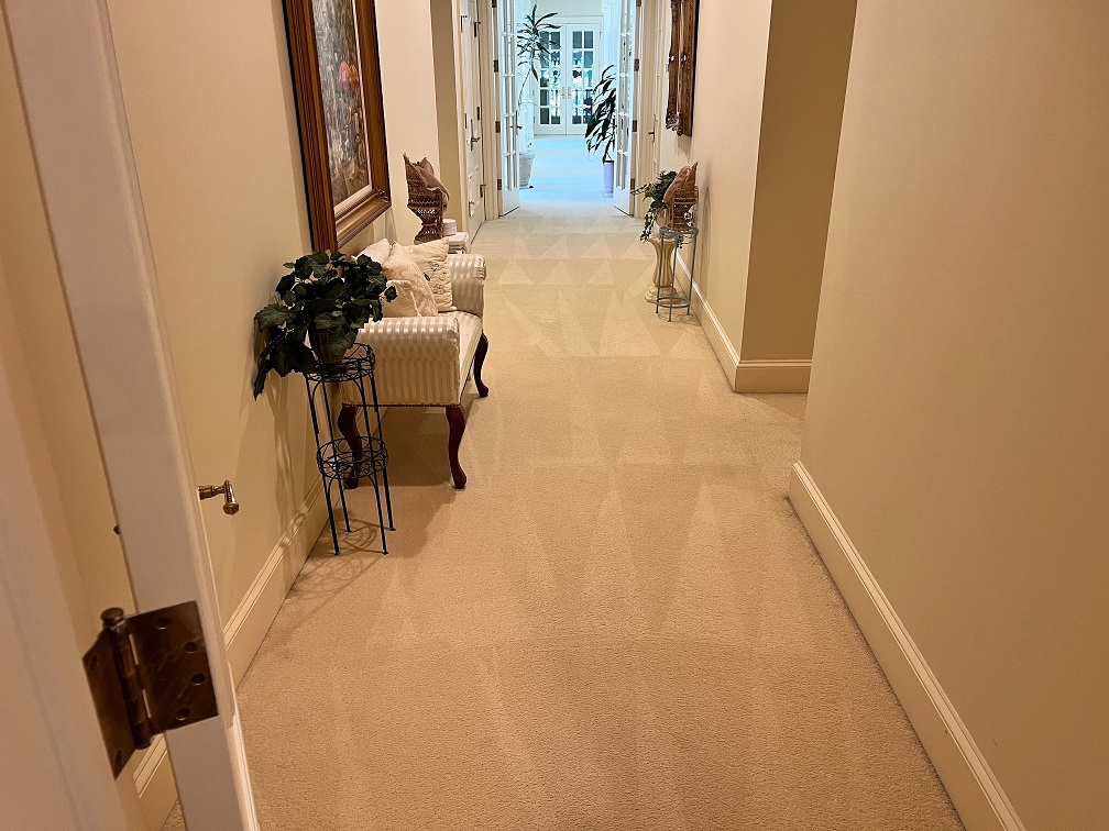 Cleaned Hallway Carpet