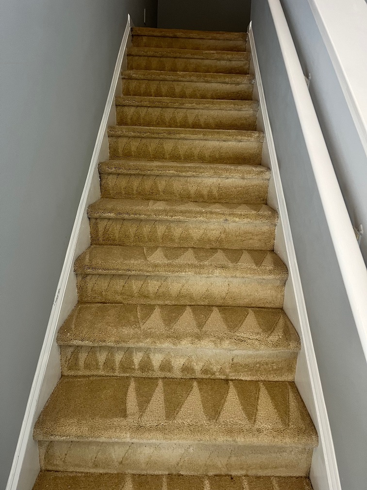 Stairs Carpet Cleaning