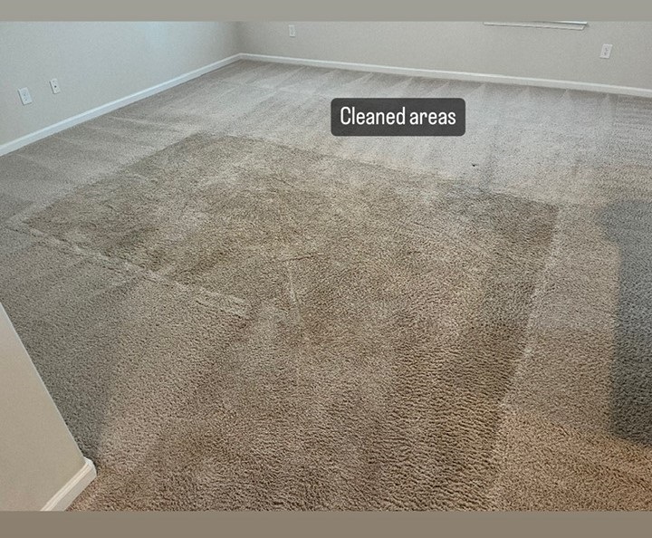 Carpet Cleaning in-progress