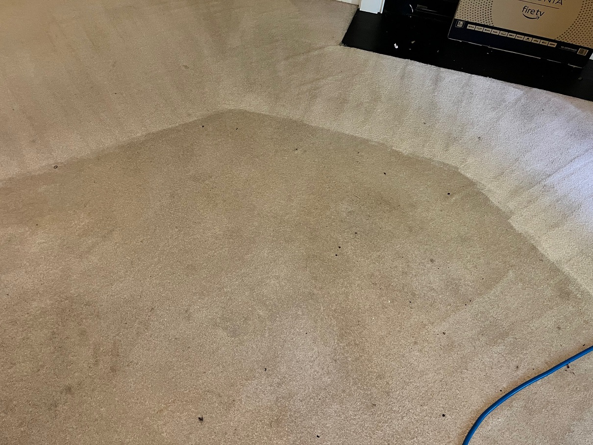 Clean Carpet vs. Dirty Carpet