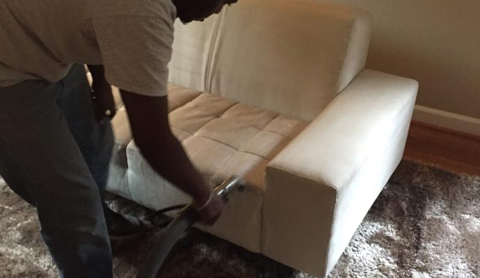 Professional worker cleaning sofa